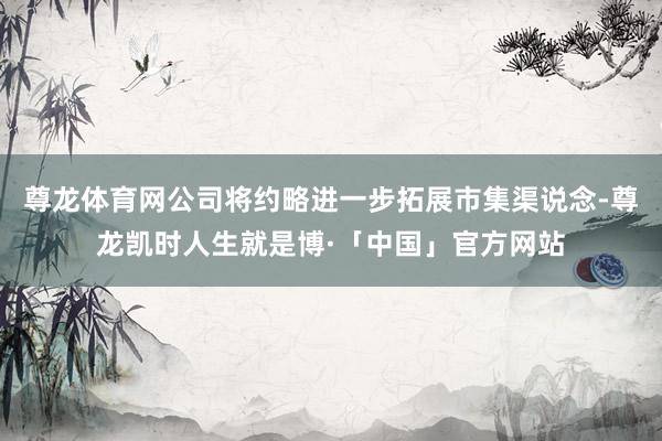 尊龙体育网公司将约略进一步拓展市集渠说念-尊龙凯时人生就是博·「中国」官方网站