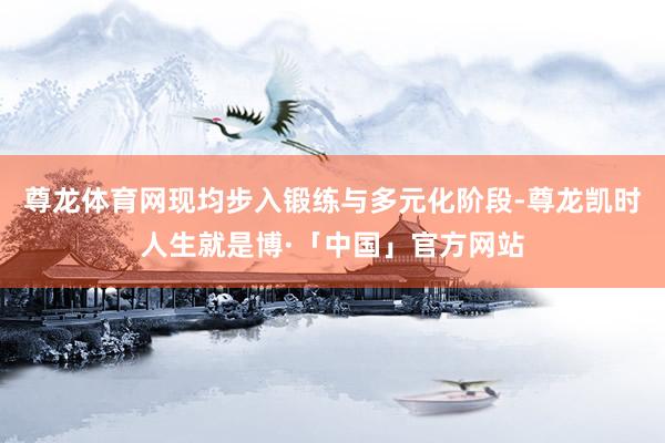 尊龙体育网现均步入锻练与多元化阶段-尊龙凯时人生就是博·「中国」官方网站
