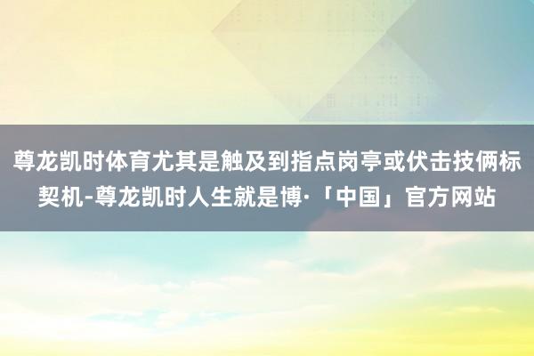 尊龙凯时体育尤其是触及到指点岗亭或伏击技俩标契机-尊龙凯时人生就是博·「中国」官方网站