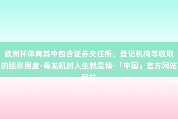 欧洲杯体育其中包含证券交往所、登记机构等收取的臆测用度-尊龙凯时人生就是博·「中国」官方网站