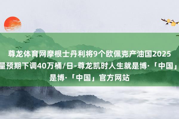 尊龙体育网摩根士丹利将9个欧佩克产油国2025年的产油量预期下调40万桶/日-尊龙凯时人生就是博·「中国」官方网站