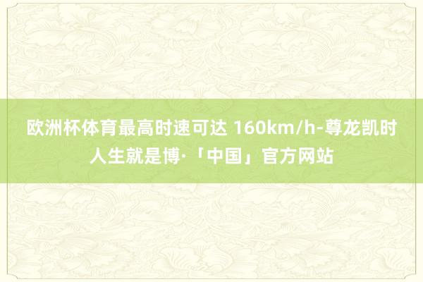 欧洲杯体育最高时速可达 160km/h-尊龙凯时人生就是博·「中国」官方网站