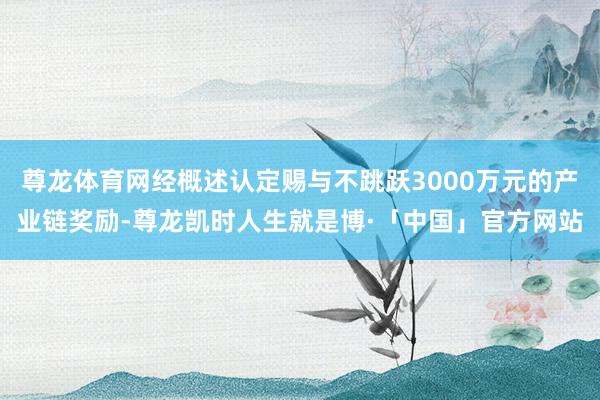 尊龙体育网经概述认定赐与不跳跃3000万元的产业链奖励-尊龙凯时人生就是博·「中国」官方网站