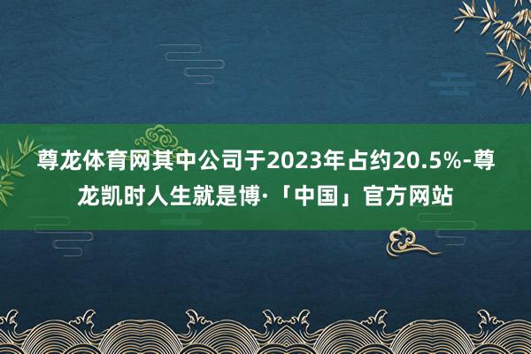 尊龙体育网其中公司于2023年占约20.5%-尊龙凯时人生就是博·「中国」官方网站