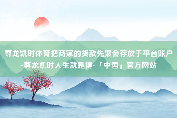 尊龙凯时体育把商家的货款先聚会存放于平台账户-尊龙凯时人生就是博·「中国」官方网站