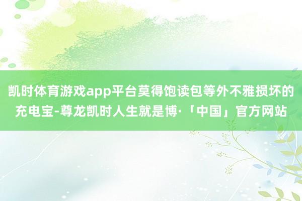 凯时体育游戏app平台莫得饱读包等外不雅损坏的充电宝-尊龙凯时人生就是博·「中国」官方网站