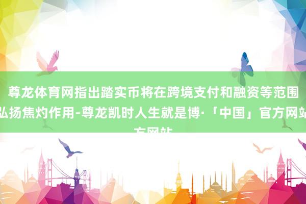 尊龙体育网指出踏实币将在跨境支付和融资等范围弘扬焦灼作用-尊龙凯时人生就是博·「中国」官方网站