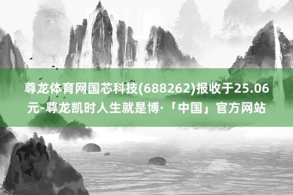 尊龙体育网国芯科技(688262)报收于25.06元-尊龙凯时人生就是博·「中国」官方网站