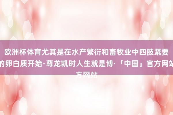 欧洲杯体育尤其是在水产繁衍和畜牧业中四肢紧要的卵白质开始-尊龙凯时人生就是博·「中国」官方网站