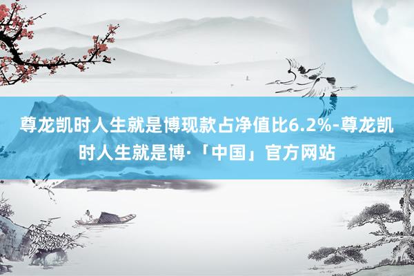 尊龙凯时人生就是博现款占净值比6.2%-尊龙凯时人生就是博·「中国」官方网站