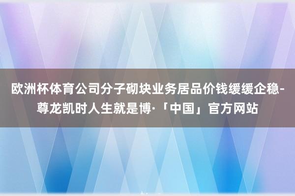 欧洲杯体育公司分子砌块业务居品价钱缓缓企稳-尊龙凯时人生就是博·「中国」官方网站
