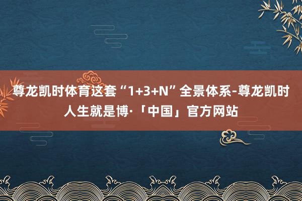 尊龙凯时体育这套“1+3+N”全景体系-尊龙凯时人生就是博·「中国」官方网站