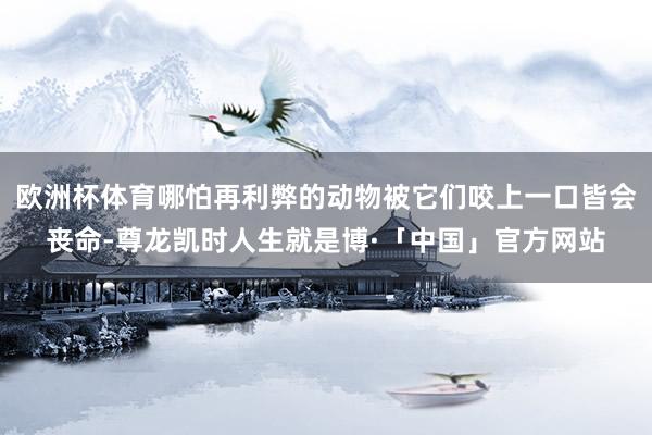 欧洲杯体育哪怕再利弊的动物被它们咬上一口皆会丧命-尊龙凯时人生就是博·「中国」官方网站