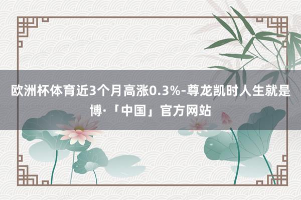欧洲杯体育近3个月高涨0.3%-尊龙凯时人生就是博·「中国」官方网站