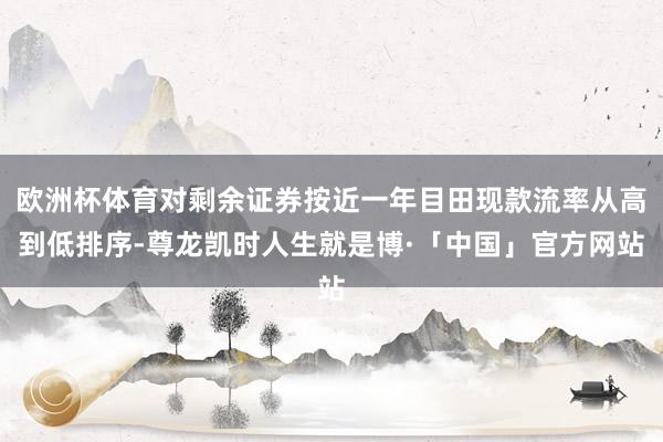 欧洲杯体育对剩余证券按近一年目田现款流率从高到低排序-尊龙凯时人生就是博·「中国」官方网站