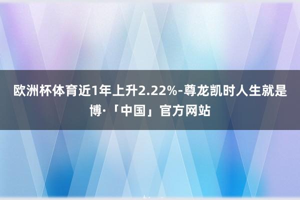 欧洲杯体育近1年上升2.22%-尊龙凯时人生就是博·「中国」官方网站