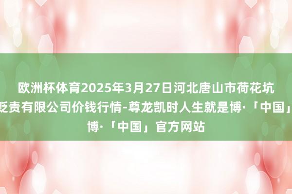 欧洲杯体育2025年3月27日河北唐山市荷花坑市集遐想贬责有限公司价钱行情-尊龙凯时人生就是博·「中国」官方网站