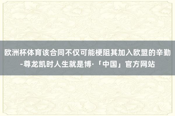 欧洲杯体育该合同不仅可能梗阻其加入欧盟的辛勤-尊龙凯时人生就是博·「中国」官方网站
