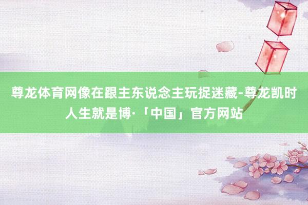尊龙体育网像在跟主东说念主玩捉迷藏-尊龙凯时人生就是博·「中国」官方网站
