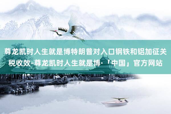 尊龙凯时人生就是博特朗普对入口钢铁和铝加征关税收效-尊龙凯时人生就是博·「中国」官方网站