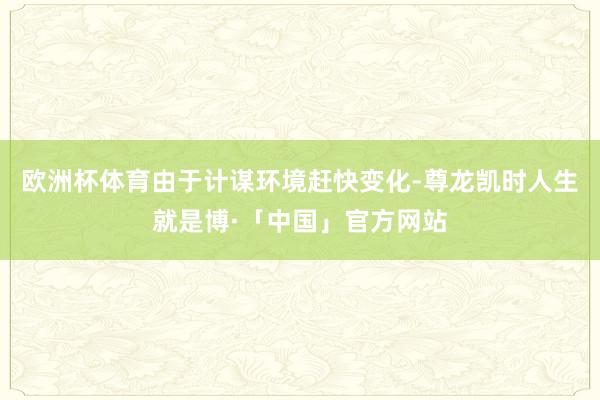 欧洲杯体育由于计谋环境赶快变化-尊龙凯时人生就是博·「中国」官方网站