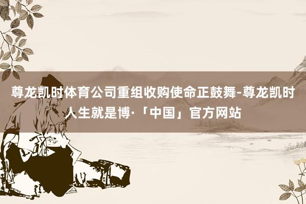 尊龙凯时体育公司重组收购使命正鼓舞-尊龙凯时人生就是博·「中国」官方网站