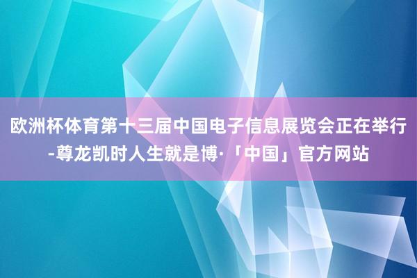 欧洲杯体育第十三届中国电子信息展览会正在举行-尊龙凯时人生就是博·「中国」官方网站
