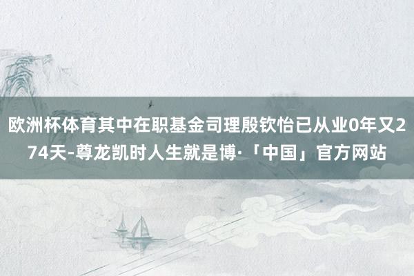 欧洲杯体育其中在职基金司理殷钦怡已从业0年又274天-尊龙凯时人生就是博·「中国」官方网站