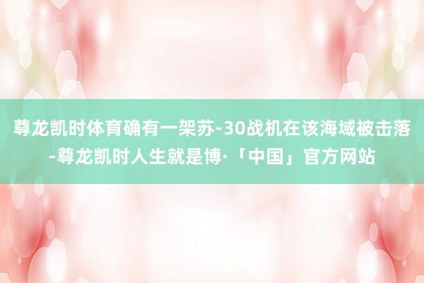 尊龙凯时体育确有一架苏-30战机在该海域被击落-尊龙凯时人生就是博·「中国」官方网站