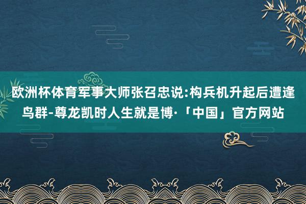 欧洲杯体育军事大师张召忠说:构兵机升起后遭逢鸟群-尊龙凯时人生就是博·「中国」官方网站