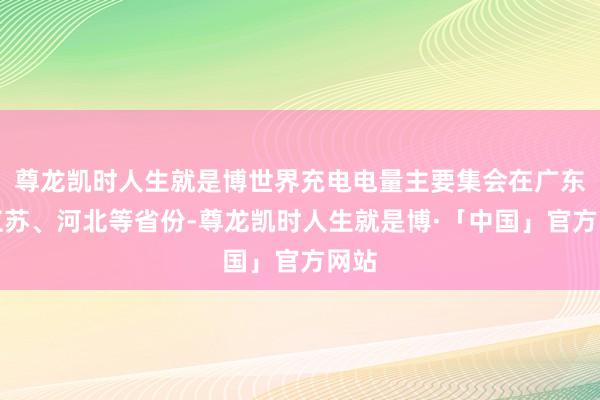 尊龙凯时人生就是博世界充电电量主要集会在广东、江苏、河北等省份-尊龙凯时人生就是博·「中国」官方网站