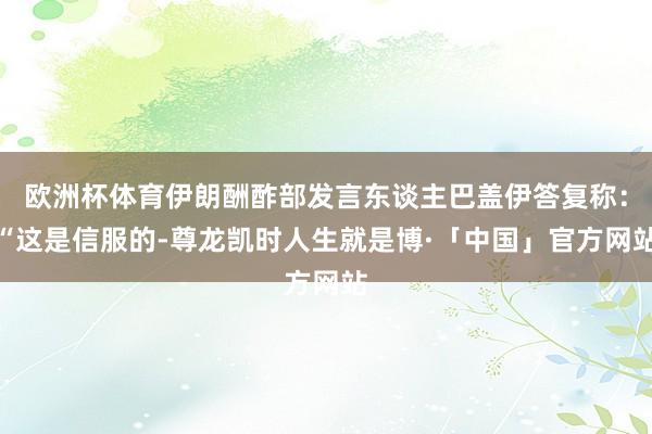 欧洲杯体育伊朗酬酢部发言东谈主巴盖伊答复称：“这是信服的-尊龙凯时人生就是博·「中国」官方网站
