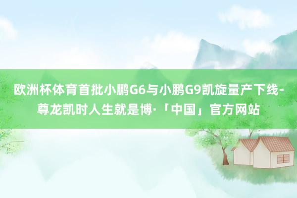 欧洲杯体育首批小鹏G6与小鹏G9凯旋量产下线-尊龙凯时人生就是博·「中国」官方网站