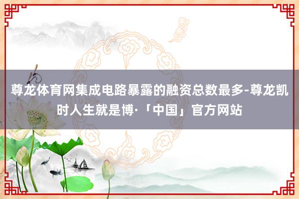 尊龙体育网集成电路暴露的融资总数最多-尊龙凯时人生就是博·「中国」官方网站
