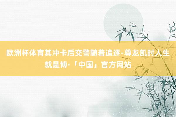 欧洲杯体育其冲卡后交警随着追逐-尊龙凯时人生就是博·「中国」官方网站