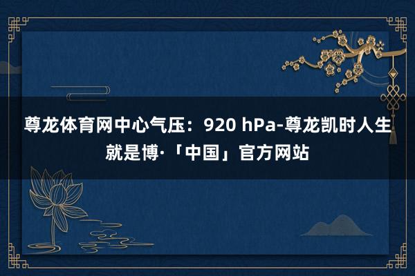 尊龙体育网中心气压：920 hPa-尊龙凯时人生就是博·「中国」官方网站