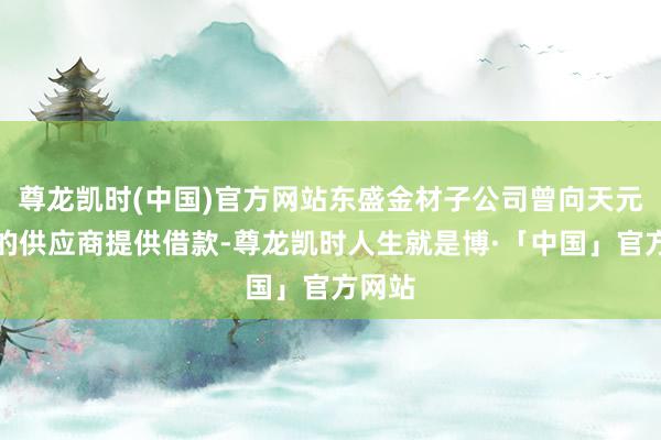 尊龙凯时(中国)官方网站东盛金材子公司曾向天元锰业的供应商提供借款-尊龙凯时人生就是博·「中国」官方网站