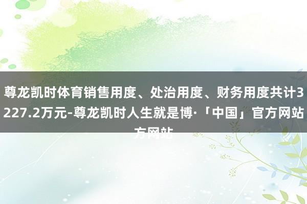 尊龙凯时体育销售用度、处治用度、财务用度共计3227.2万元-尊龙凯时人生就是博·「中国」官方网站