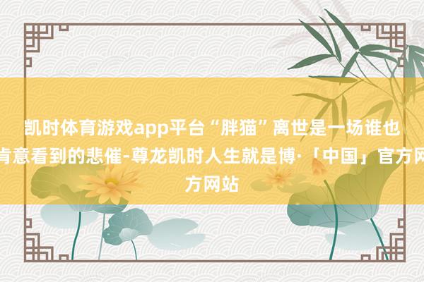 凯时体育游戏app平台 “胖猫”离世是一场谁也不肯意看到的悲催-尊龙凯时人生就是博·「中国」官方网站