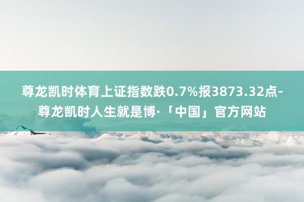 尊龙凯时体育上证指数跌0.7%报3873.32点-尊龙凯时人生就是博·「中国」官方网站