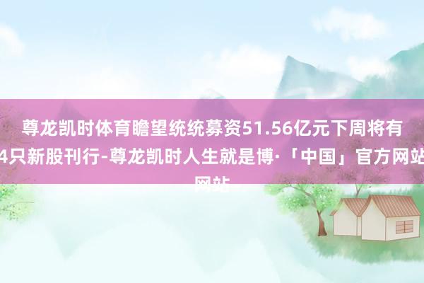 尊龙凯时体育瞻望统统募资51.56亿元下周将有4只新股刊行-尊龙凯时人生就是博·「中国」官方网站