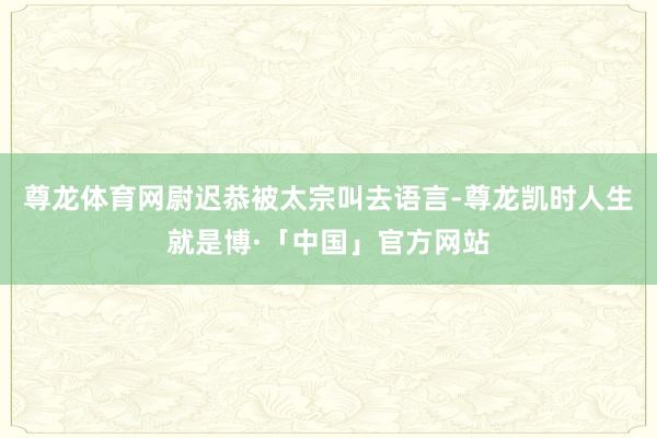尊龙体育网尉迟恭被太宗叫去语言-尊龙凯时人生就是博·「中国」官方网站