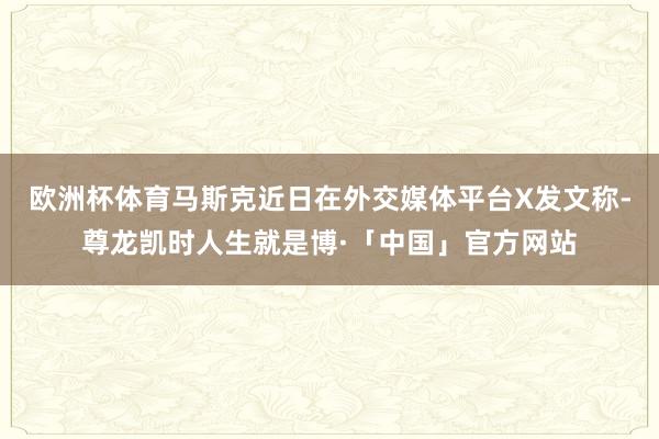 欧洲杯体育马斯克近日在外交媒体平台X发文称-尊龙凯时人生就是博·「中国」官方网站