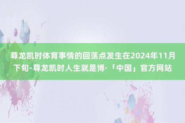 尊龙凯时体育事情的回荡点发生在2024年11月下旬-尊龙凯时人生就是博·「中国」官方网站