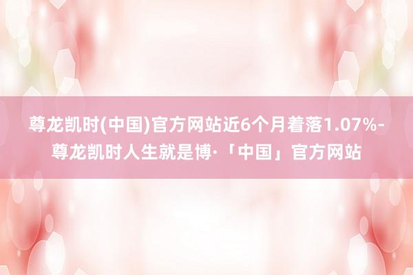 尊龙凯时(中国)官方网站近6个月着落1.07%-尊龙凯时人生就是博·「中国」官方网站