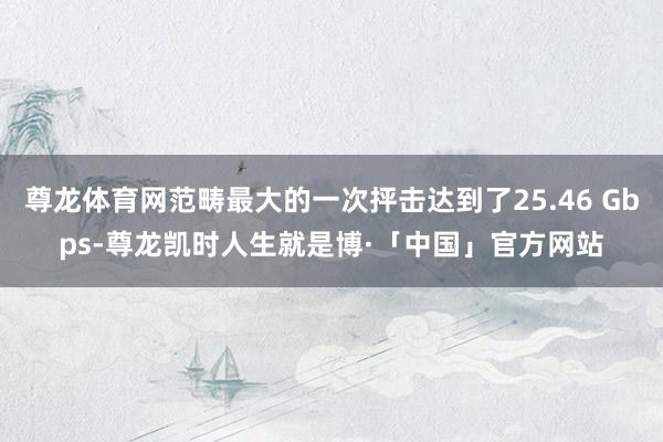 尊龙体育网范畴最大的一次抨击达到了25.46 Gbps-尊龙凯时人生就是博·「中国」官方网站