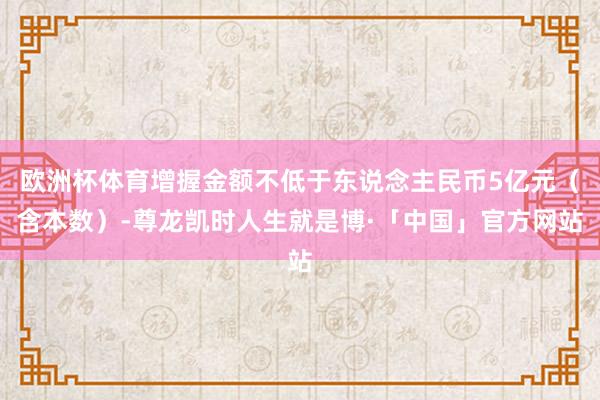 欧洲杯体育增握金额不低于东说念主民币5亿元（含本数）-尊龙凯时人生就是博·「中国」官方网站