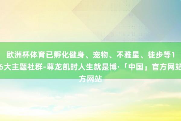 欧洲杯体育已孵化健身、宠物、不雅星、徒步等16大主题社群-尊龙凯时人生就是博·「中国」官方网站