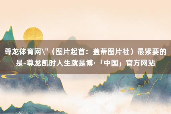 尊龙体育网