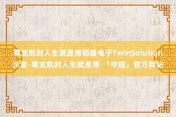 尊龙凯时人生就是博韬盛电子TwinSolution示意-尊龙凯时人生就是博·「中国」官方网站